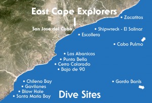 dive sites in san jose del cabo
