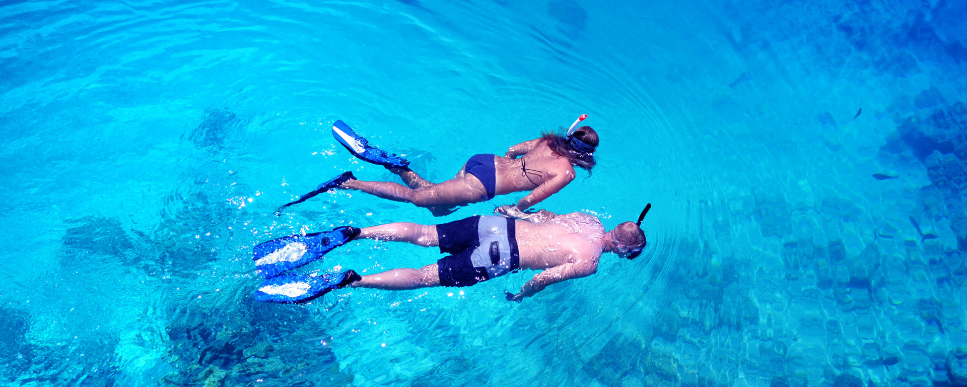 snorkel tours san jose del cabo